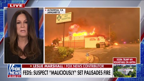 LA fire escapee speaks out after suspect arrested for sparking Palisades fire