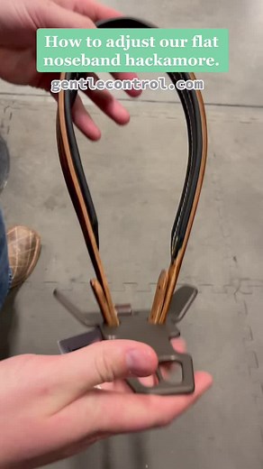 Here is how you adjust the flat noseband hackamore, check out our website at gentlecontrol.com #hackamore #CloroxMistChallenge #smallbusiness