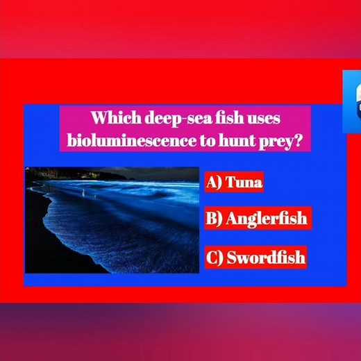 trivia Quiz Multiple questions #trivia #triviaquiz