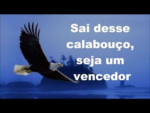 Livre Pra Voar Elias Silva - Play Back