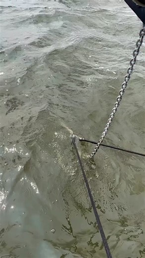 Maximum safety on board starts with the right snubber line ⚓️ The double snubber line from Premiumropes is designed for sailors who don’t compromise. With two robust attachment points and a high-quality Wichard stainless-steel chain hook, you’re prepared for any situation, from calm nights to heavy conditions. 💪 🔹 Smart load distribution across two attachment points 🔹 More peace of mind and control over your anchor chain, even in rough weather 🌬️ 🔹 Durable, stainless, and built for long-ter