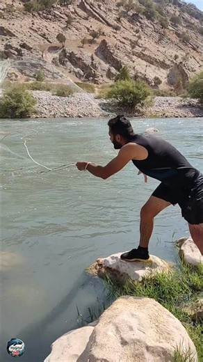 Amazing Cast Net Fishing in Beautiful Nature | Fishing Shorts