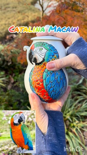 11 reactions | Meet the Catalina Macaw! 列❤️ A stunning hybrid of the Scarlet Macaw and the Blue-and-Gold, known for its fiery colors, making them one of the most striking macaw hybrids. No two Catalinas look the same—each one is a living work of art!  : : #cuerdaseca #cordaseca #handmadeceramics #handpaintedceramics #handpaintedpottery #macawlove #catalinamacaws #macawart #macawlovers #ceramicabrasileira | Anasclayhouse - Handmade Pottery by Ana Leal | Facebook