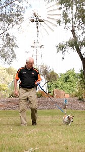 Meet Selwyn 👋 an 81-year-old powerhouse in Emerald making big change for his furry friends at CQ Pet Rescue. Supporting the over 1.8 million containers donated to the animal rescue through Containers for Change; Selywn's efforts support much-needed food, vet bills and more 💚 | Containers for Change QLD