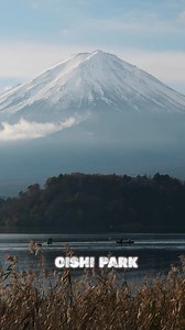 GoGraph Japan on Reels