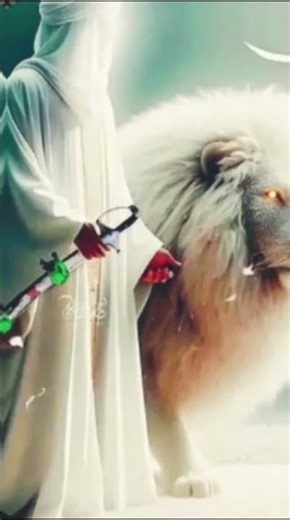 Muhhamdd ka pyaar nahi hu #islamicvideo #viralshortsvideo #muhammadﷺ #imeges video's