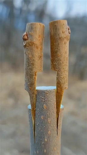 Unlock Your Account: Step-by-Step Guide