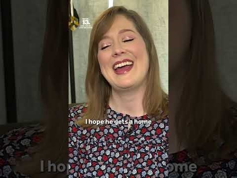 Adorable video shows rare four-eared cat in Alabama