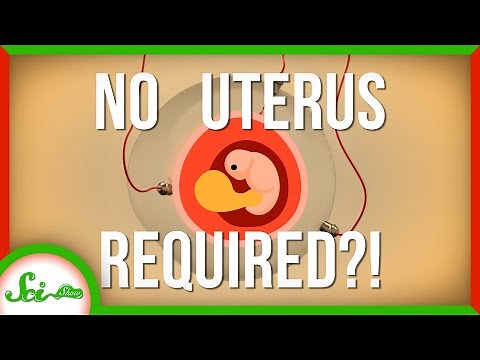 Big Breakthrough in Artificial Wombs | SciShow News