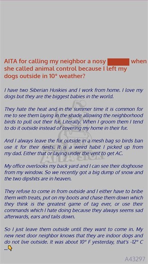 AITA for calling my neighbor 🚙 a nosy a__hole when she called animal 😼 control because I left my dogs outside in 10° weather? | Daily AITA Story