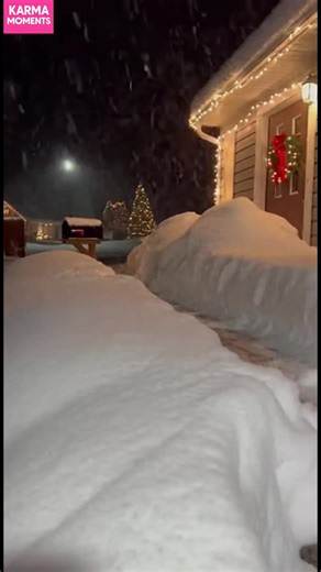 Loyal Dog's Snowy Task! A dog delivers mail in the snow. So heartwarming! #fblifestyle #AI Generated using Kling AI . . . (For entertainment purposes only. Consult professionals if guidance on activities is presented. No brand affiliation is implied if any are shown. If inspired by true events, creative adaptations may be included. Content may include public footage.) | Fabiosa Fitness