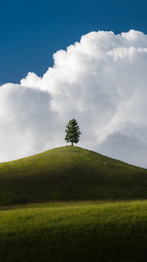 Khumais Idrees | Raw vs Edit 📸 I breakdown this edit step by step in my Editing Masterclass. Sign up now to get: - 50+ Lightroom Presets - 10+ Video... | Instagram