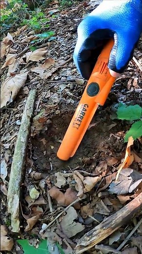 Rare Templar Find by a Treasure hunter with a metal detector #metaldetecting #viralshorts