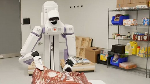 面向低成本通用人形机器人｜2025【Reflex Robotics】