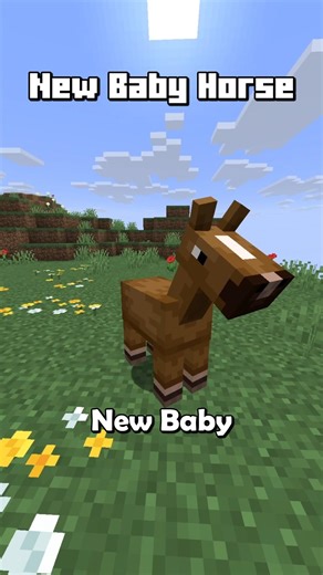 New Baby Horse Texture Pack in Minecraft Update? 😲