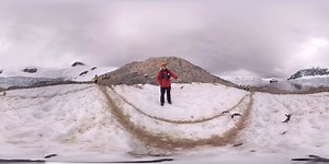 12K views · 65 reactions | Travel to the Antarctic Peninsula with Dr....
