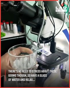 117K views · 237 reactions | You won't believe some of the creatures that are found on your food when you look under a microscope 荒 | Do It Yourself | Facebook