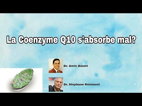 Absorption de la coenzyme Q10 : le point de vue du clinicien (Dr Stéphane Résimont)