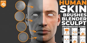 Blender Human Skin Brushes | BlenderNation Bazaar