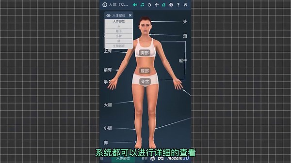 逼真！3D人体，医学生必备APP！