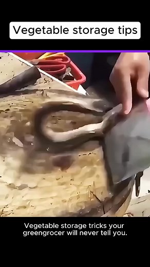 3.8K views | Vegetable storage tips#life #lifetips #lifehacks #facts | Lily's Enjoy | Facebook