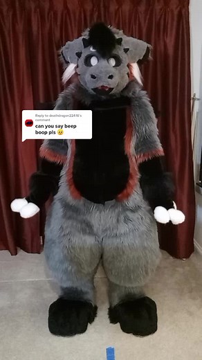 Dutch Angel Dragon Fursuiter Reply