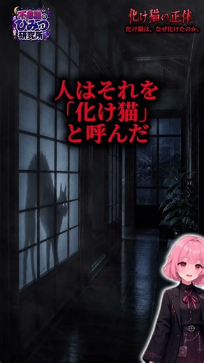 化け猫は、なぜ化けたのか。化け猫の正体#都市伝説 #化け猫 #妖怪