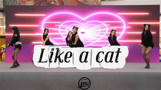 [HF-RANDOM]25.4.4 like a cat路演