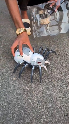 Remote Control Pigeon Vs Rc Spider Deko 😳