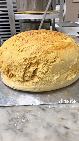 Delicate Sponge Candy Flop Tutorial | Watson's Chocolate Shop