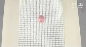 互动展项之人与图像的三维交互系统