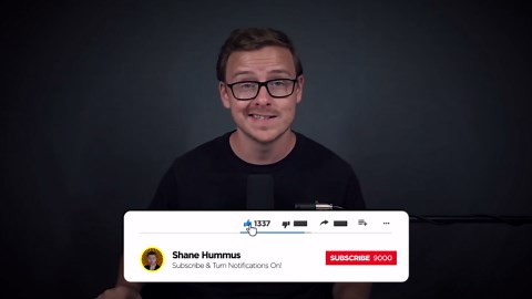 Data Scientist Overview