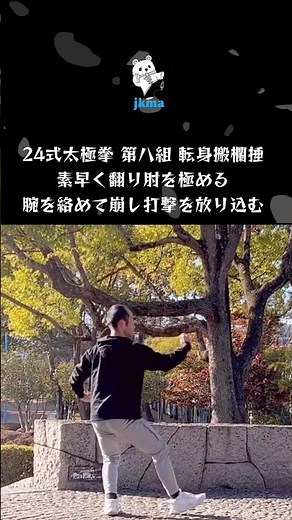【脅威的】実は使える24式太極拳