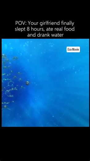 Eco Movie on Instagram: "🥰 Interesting Fact: Finding Nemo (2003) — The production team went through extensive training and research to capture the realistic movements of sea creatures, even taking scuba diving trips to Hawaii to study the Great Barrier Reef’s ecosystem. This meticulous attention to detail ensured that the movie and series maintained an authentic underwater atmosphere while portraying the vibrant life of the ocean. Director Andrew Stanton provided the voice for Crush the sea tur