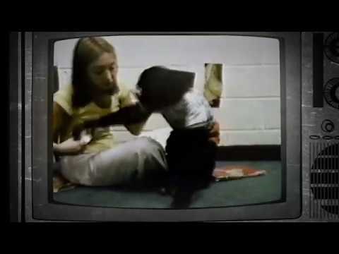 Nim's longest recorded sentence