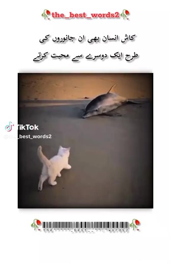 Princess Cinderella (@princess.cinderel20)’s videos with original sound - 🦋.｡𝐇𝐄𝐄𝐑🌙🧸