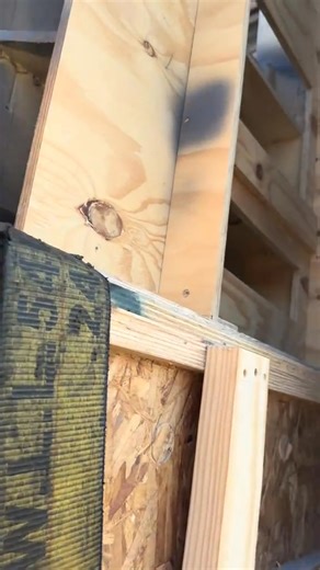 ES Custom Boats on Reels