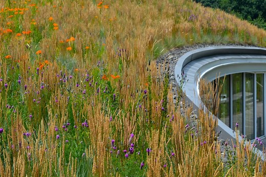 Visitor Center - Brooklyn Botanic Garden