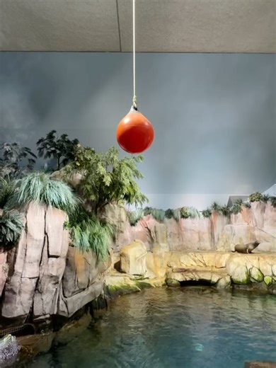 Moody Gardens on Reels