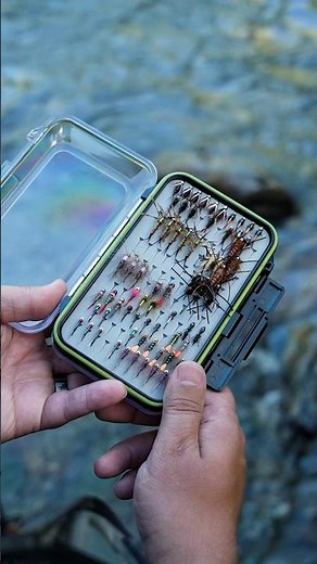 7 Sneaky Good Winter Flies You Should Be Fishing