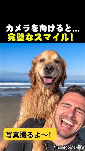 [God-tier] This dog gives a professional smile every time the camera points at it lol
