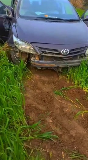 Ab Dhillon (@phool.dhillon)’s videos with original sound - ꧁༐✿ 𝐐𝐮𝐞𝐞𝐧𝟐𝟕𝟏 ✿༐꧂