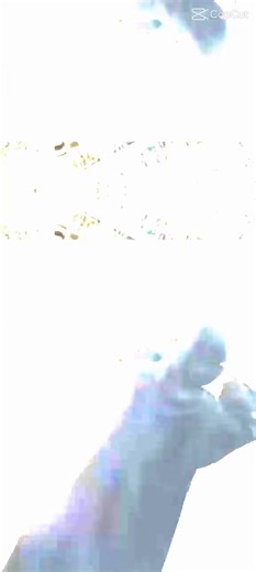 hifza♥️ (@hifza895734334)’s videos with original sound - hifza♥️