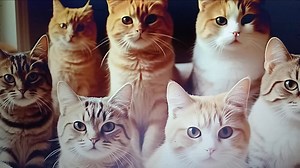 1.1K views | Bg ini kenapa ya bg pas di dalam mau masuk file corupt ? | Lubis Margana | Facebook