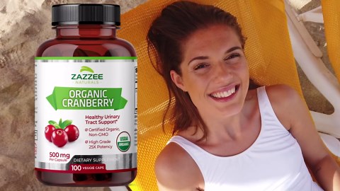 Zazzee USDA Organic Cranberry 25:1 Extract, 500 mg per Capsule, 100 Vegan Capsules, Over 3 Month Supply, Standardized, Concentrated 25X Extract, 100% Vegetarian, Certified Organic, Non-GMO All-Natural