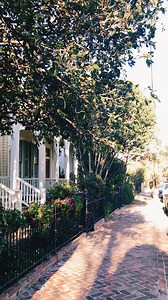 These houses might look discrete, but they are some of the most famous in the Garden District.  The “Seven Sisters” homes are identical houses in the city’s iconic “shotgun home” style. Find them on the 2300 block of Coliseum Street. | Fat Tire Tours | Facebook