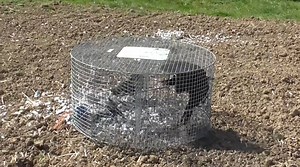 10K views · 222 reactions | Larson Trap Someone recently sent us...