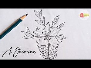 How to Draw a Jasmine Flower Easily And Step by Step ! Tutorial