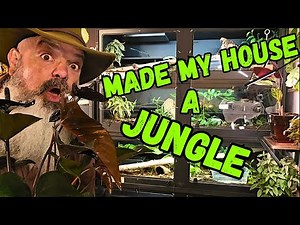 HUGE Change To My Snake Room