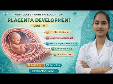 Placenta Development in Hindi | class 9 GNM 3rd Year|midwifery 